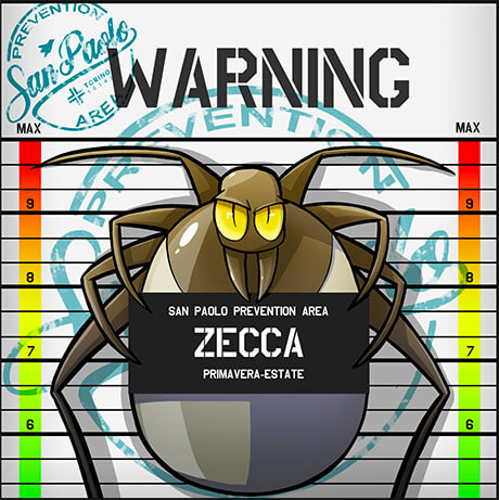 ZECCHE